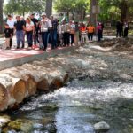 Flores Serna propone línea telefónica de ayuda para la prevención del suicidio en Nuevo León