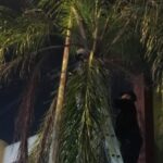 Llevan a Allende servicios esenciales y programas de apoyo del gobierno estatal