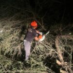 Previo al Mundial FIFA 2026, prestadores de servicios son certificados por CONOCER