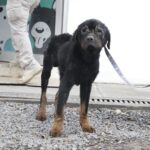 Fortalece AyD formación de mujeres en áreas operativas con recorrido técnico en Loma Larga